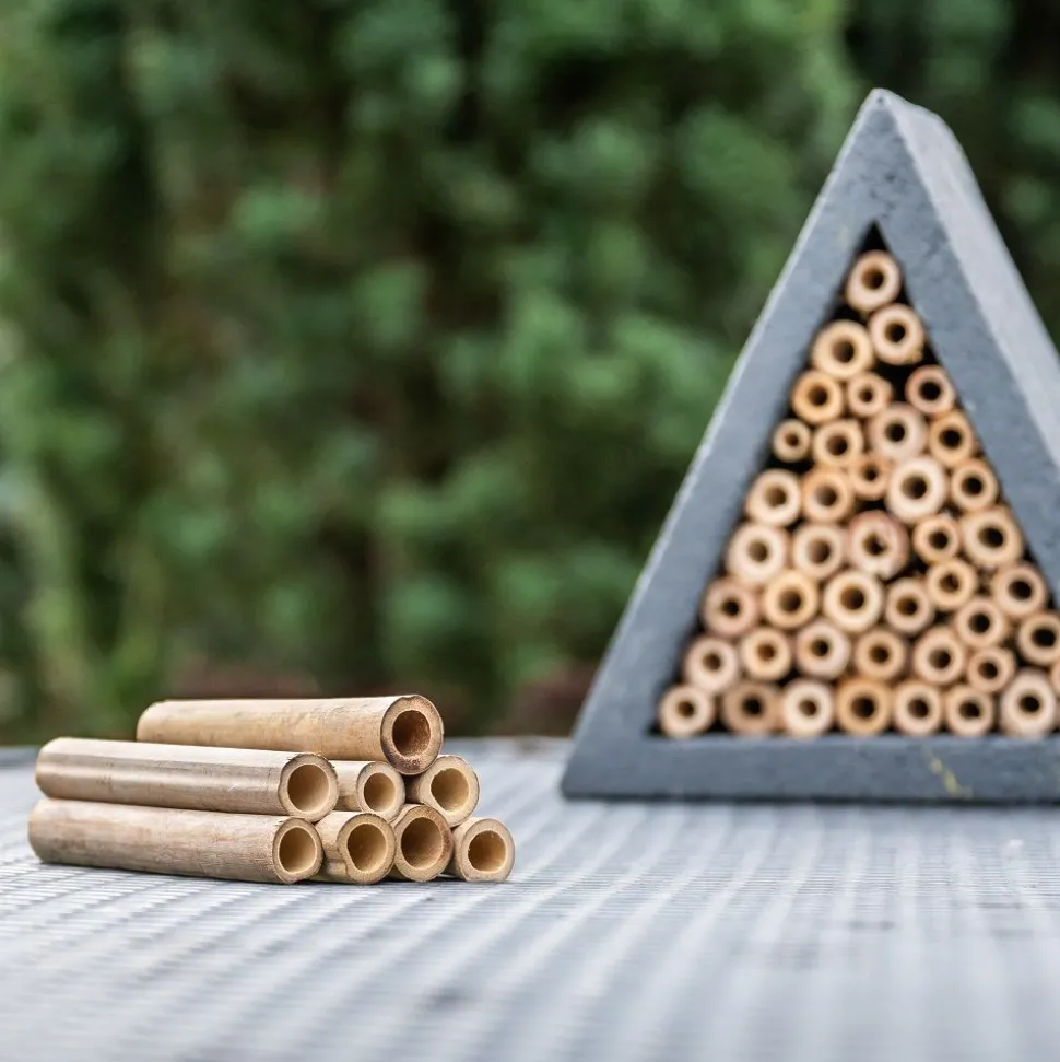 Bambusröhrchen für Holzbeton-Insektenhotels 90 mm, 100 Stück