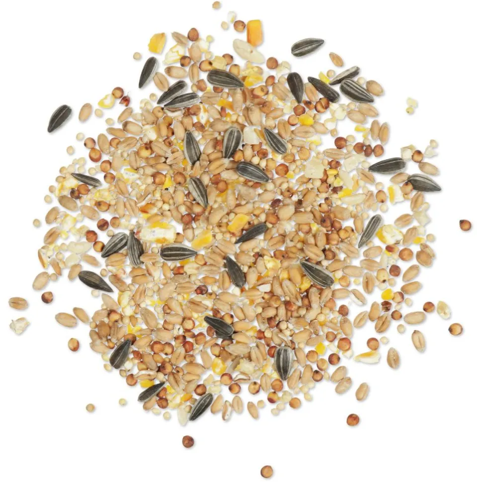 Basis-Streufutter 2,5 kg