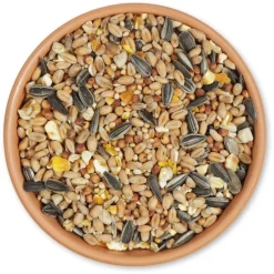 Basis-Streufutter 2,5 kg