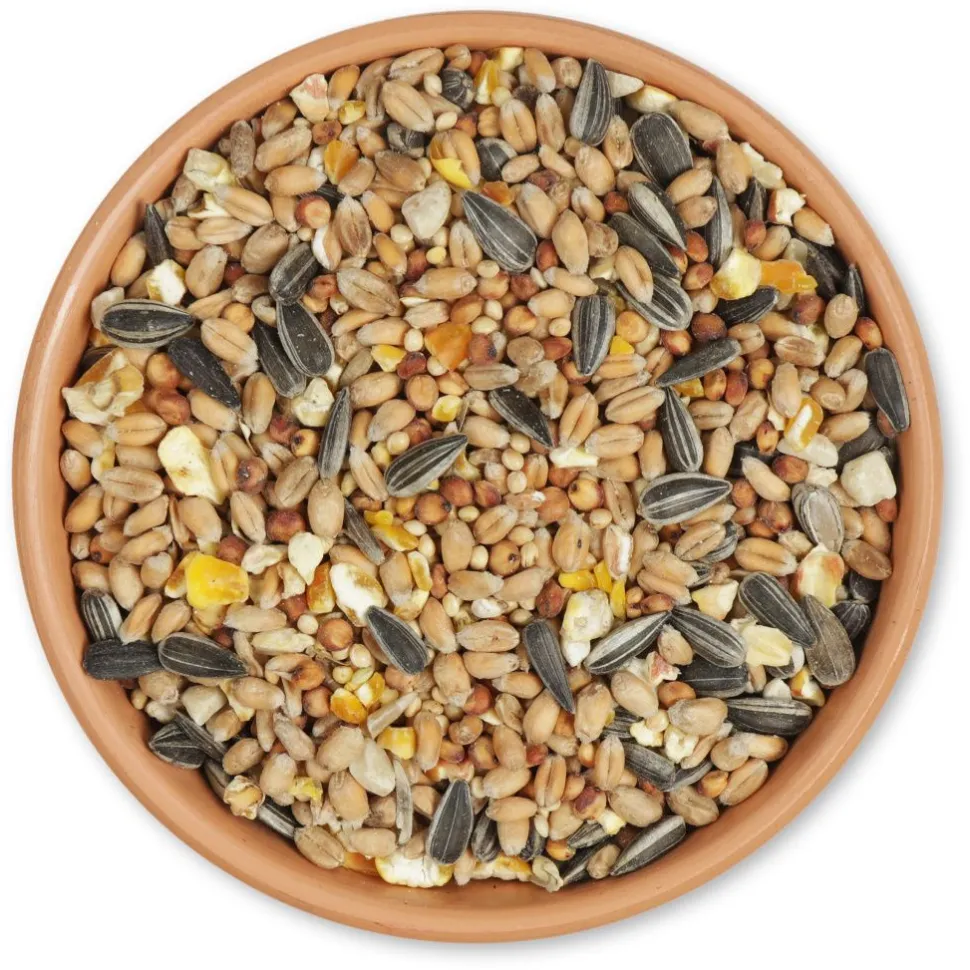 Basis-Streufutter 2,5 kg