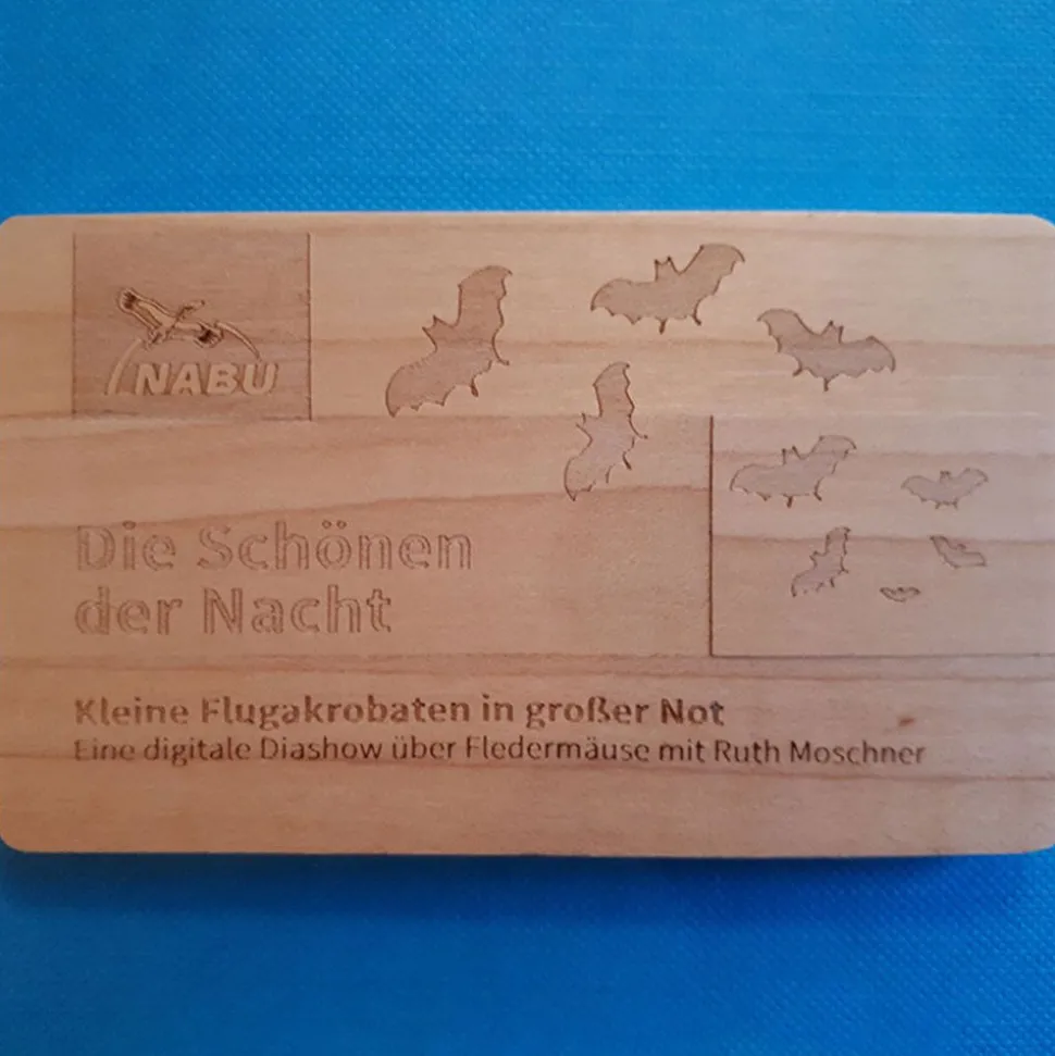 Diashow "Die Schönen der Nacht: kleine Flugakrobaten in großer Not"