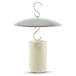 Energiekuchen mit Insekten, 500 ml
