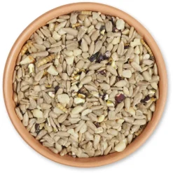 Energiereiche Samen Deluxe, 1 - 20 kg