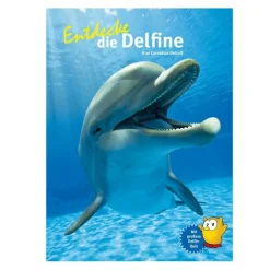 Entdecke die Delfine