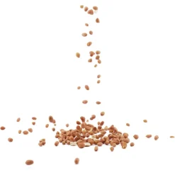 Erdnüsse im Eimer, 3 kg