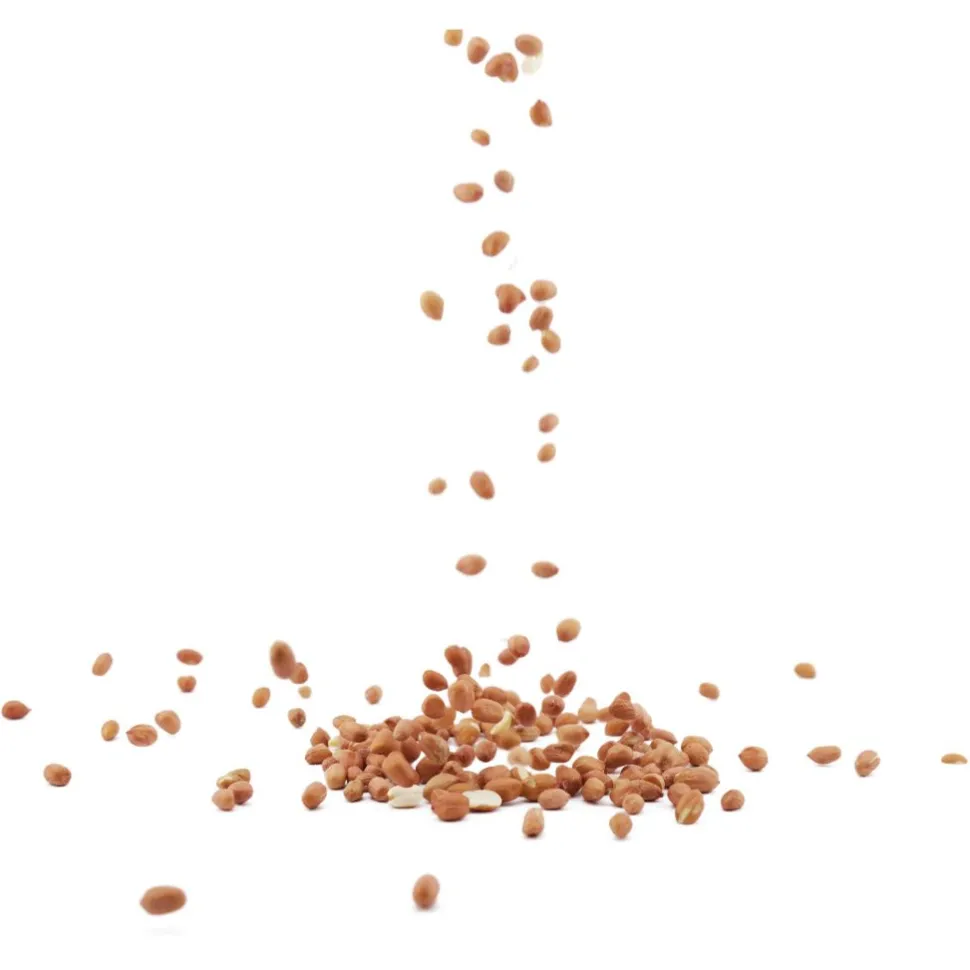 Erdnüsse im Eimer, 3 kg
