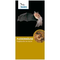 Faltblatt Fledermäuse - Flugkünstler der Nacht
