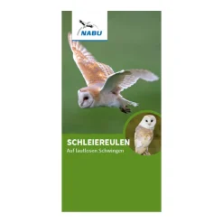 Faltblatt Schleiereulen - auf lautlosen Schwingen