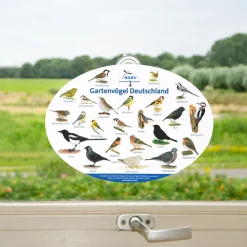 Fensterposter Gartenvögel