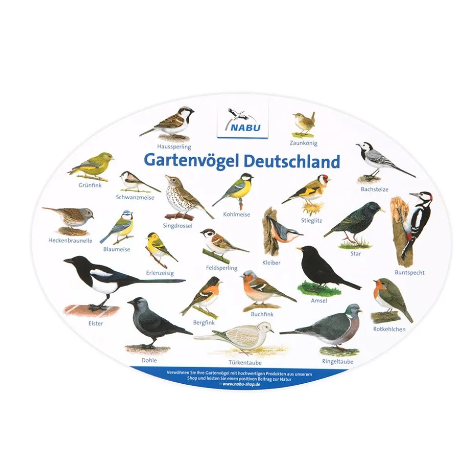 Fensterposter Gartenvögel