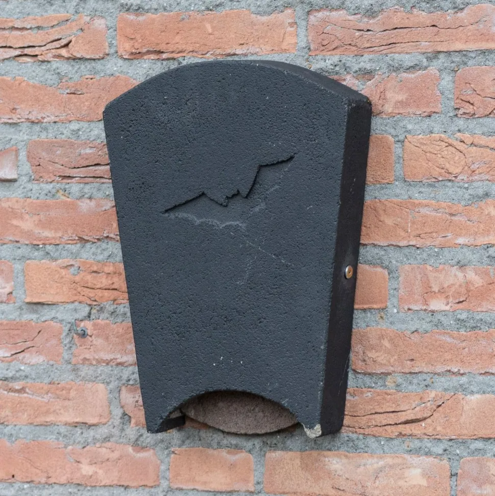 Fledermauskasten Beaumaris, groß