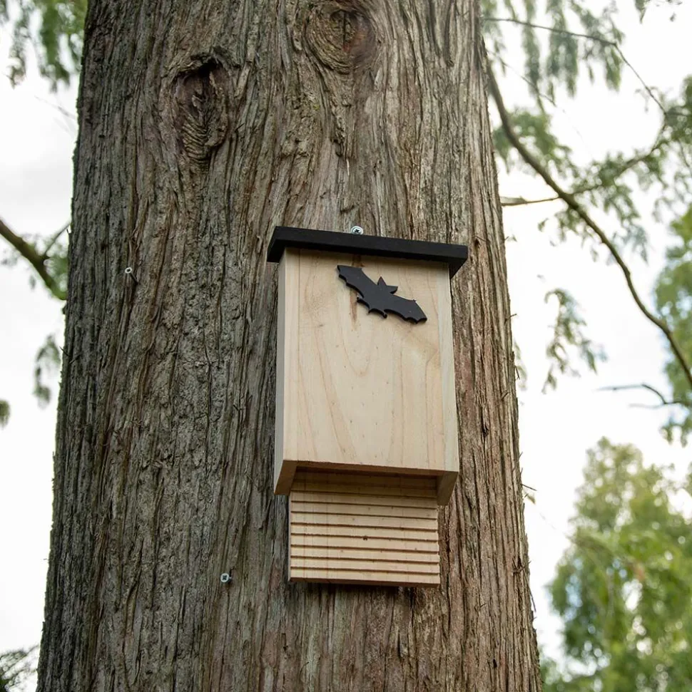 Fledermauskasten Glamis