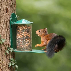 Futterautomat für Eichhörnchen
