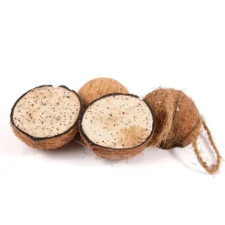 Gefüllte Kokosnuss mit Mehlwürmern, halb, 4er Pack