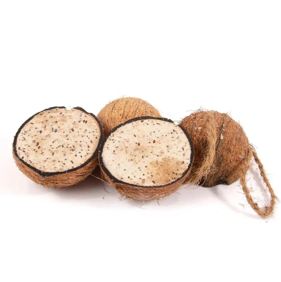 Gefüllte Kokosnuss mit Mehlwürmern, halb, 4er Pack