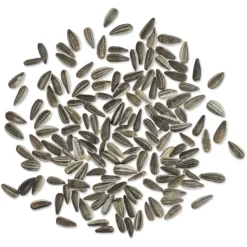 Gestreifte Sonnenblumenkerne im Eimer 2,25 kg