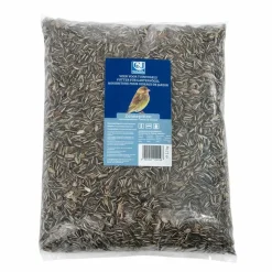 Gestreifte Sonnenblumenkerne, 1 - 10 kg