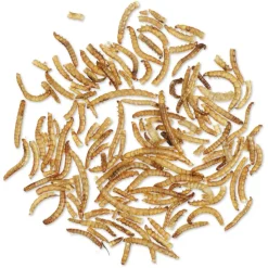 Getrocknete Mehlwürmer 50 g