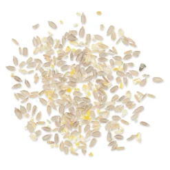 Green+ Samen Plus 2,5kg (biologischer Anbau)