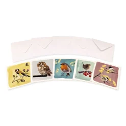 Grußkarten-Set Gartenvögel II - Myrte (2 x 5 Designs)