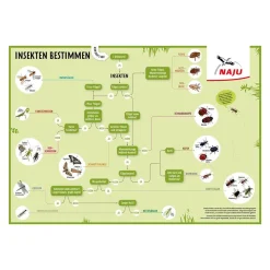 Insektenbestimmungsposter