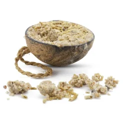 Kokosnuss mit Mehlwürmern, halb