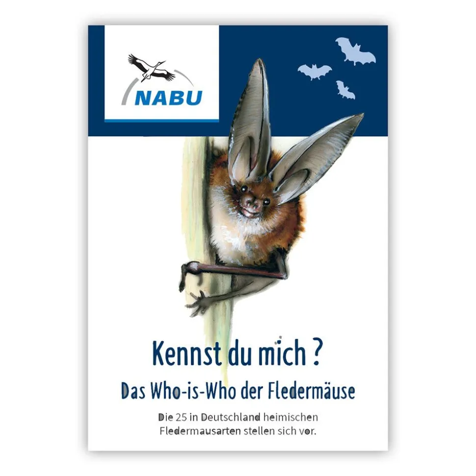 Leporello Fledermäuse