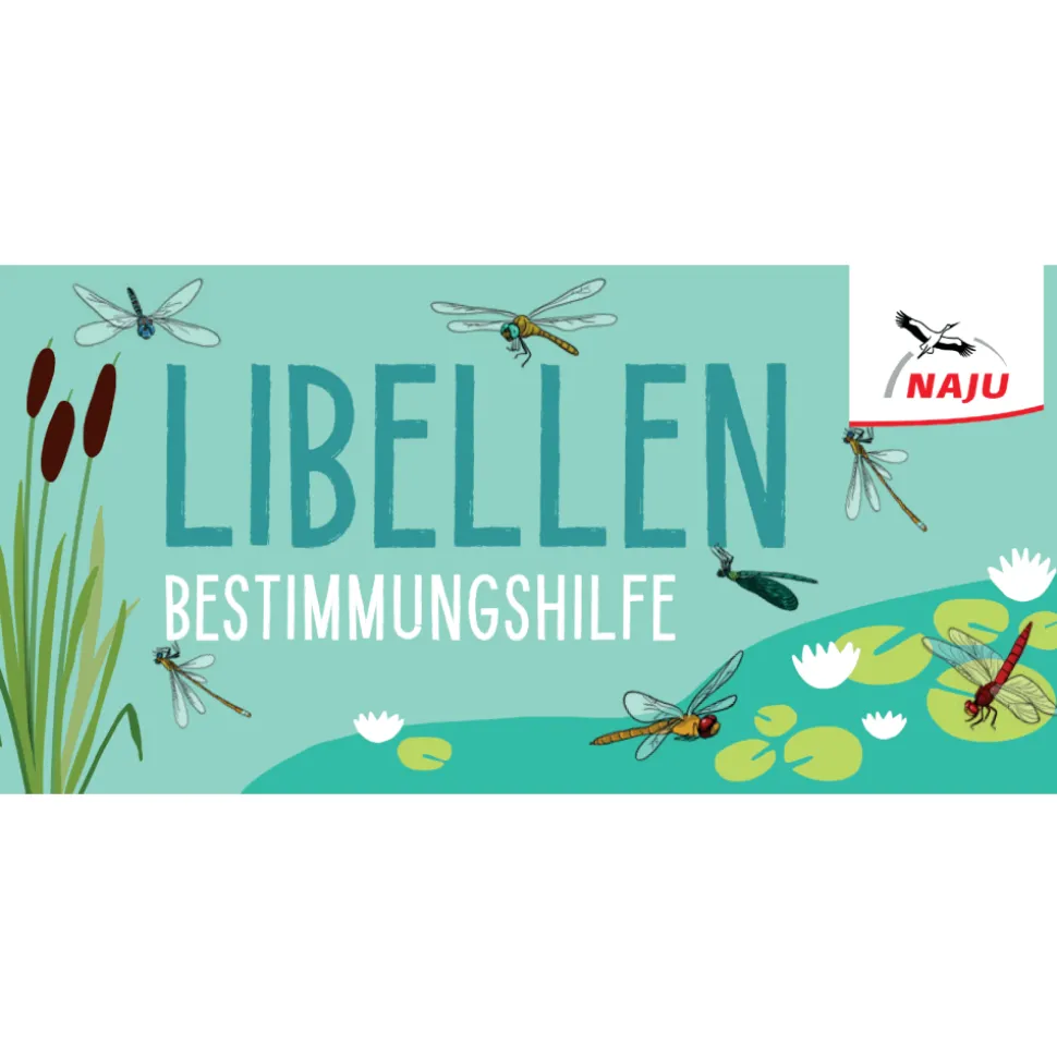 Libellen-Bestimmungshilfe