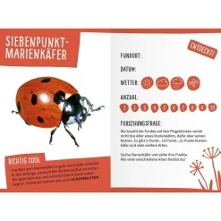 Mein Insektenbüchlein