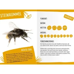 Mein Insektenbüchlein