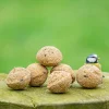 Meisenknödel mit Insektenfett, 6 Stück