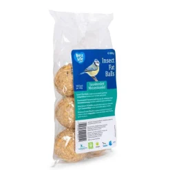 Meisenknödel mit Insektenfett, 6 Stück