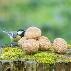 Meisenknödel mit Insektenfett, 6 Stück