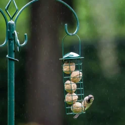 Meisenknödel mit Insektenfett, 6 Stück