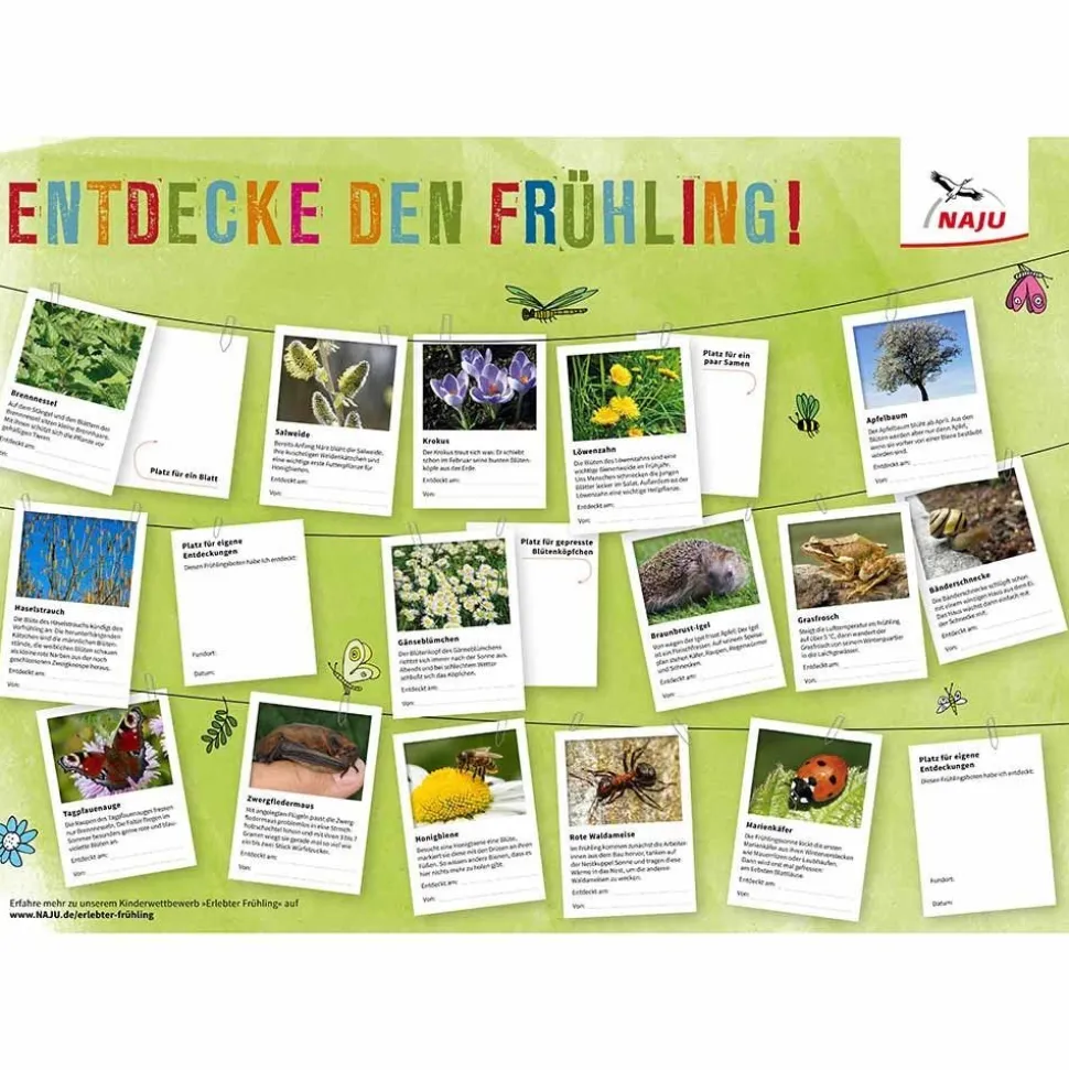 Mitmachposter mit allen Frühlingsboten