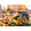 NABU aktiv: Der Igel - Artenschutz vor der Haustür
