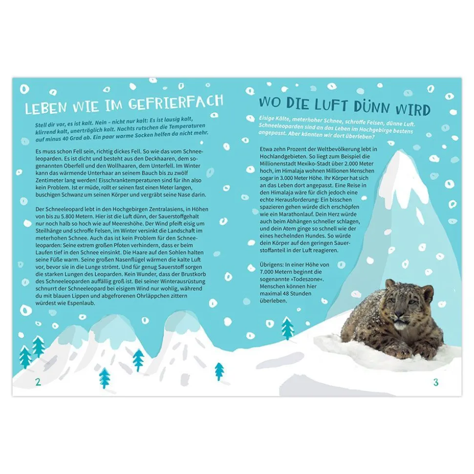 NAJUversum: Der Schneeleopard