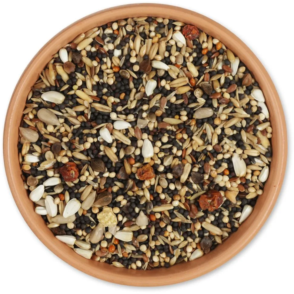 Premium Sommerfutter 2,5 kg