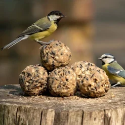 Premium-Meisenknödel, 50 Stück im Karton