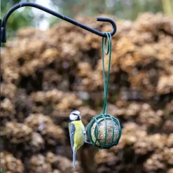 Premium-Meisenknödel mit Insekten, 50 Stück im Karton