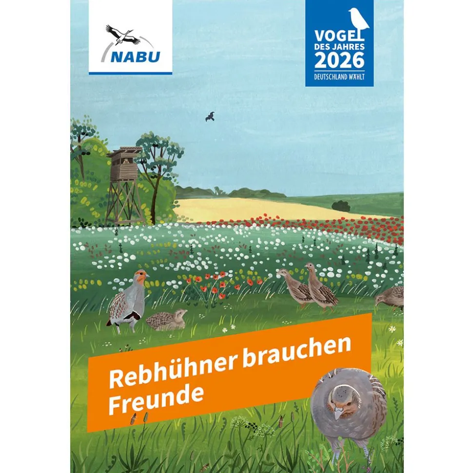 Rebhühner brauchen Freunde