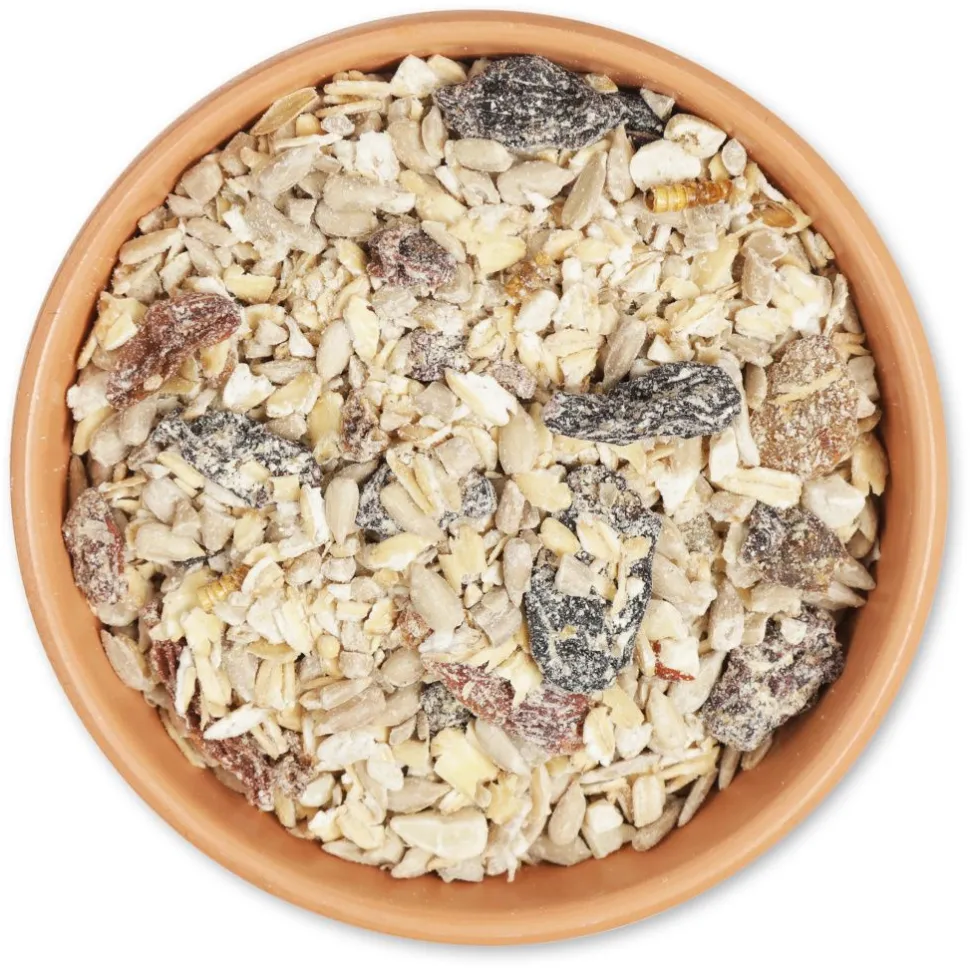Rotkehlchen-Delikatessen, 2,5 - 10 kg
