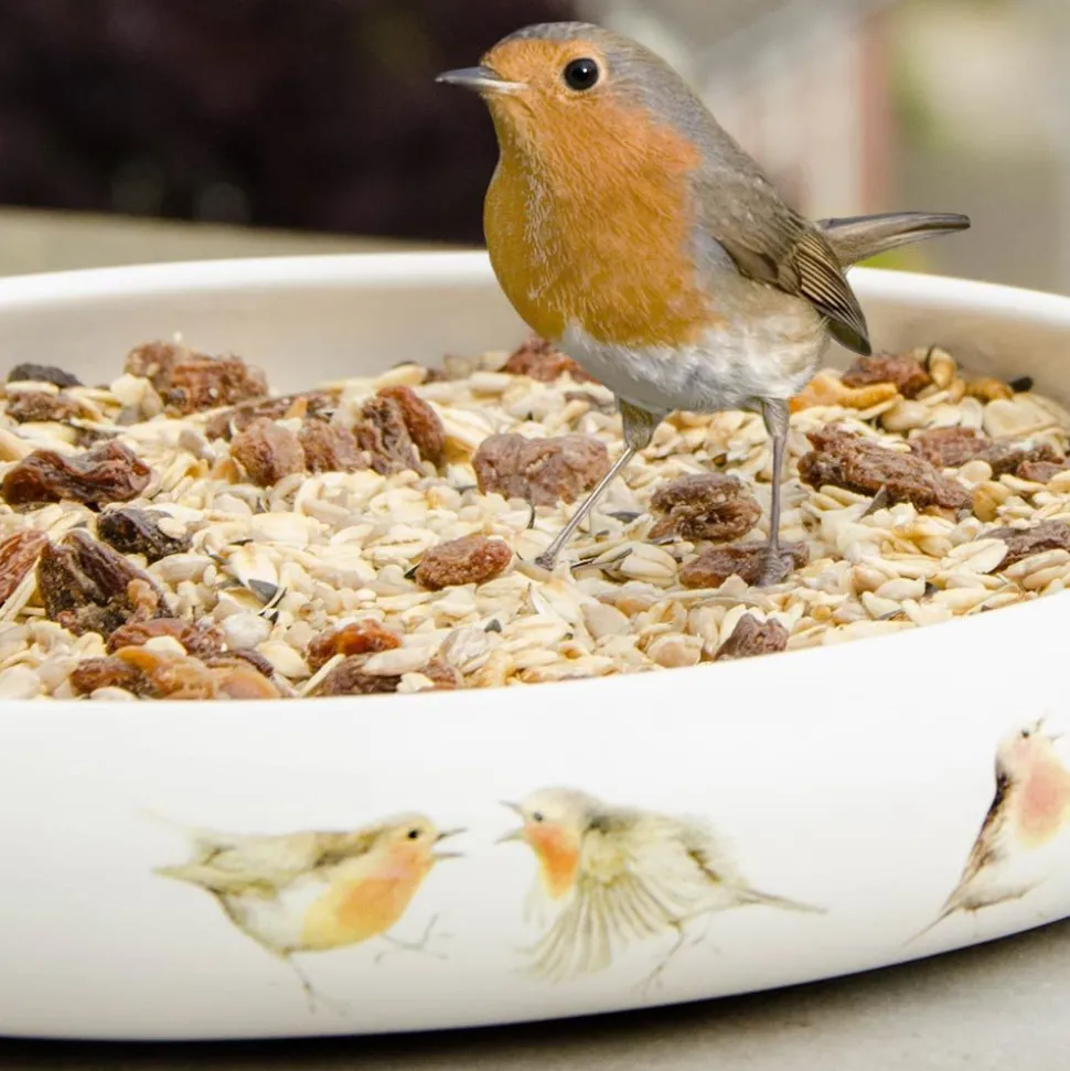 Rotkehlchen-Delikatessen, 2,5 - 10 kg
