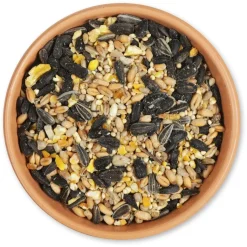 Samenmix im Eimer, 3 kg