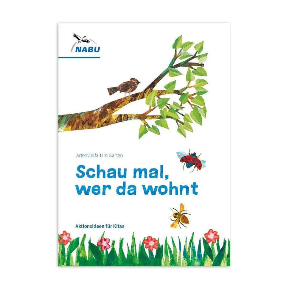 Schau mal, wer da wohnt - Aktionsideen für Kitas zum Käfer Immerfrech
