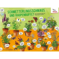 Schmetterlingsschmaus und Raupenbuffet (Poster)