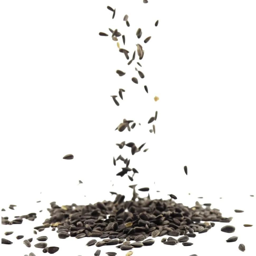 Schwarze Sonnenblumenkerne, 1 - 10 kg