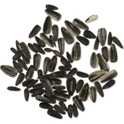 Schwarze Sonnenblumenkerne, 1 - 10 kg