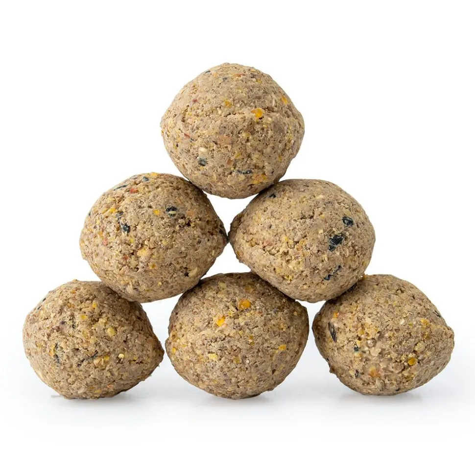 Starter-Set mit 6 Insektenfett-Meisenknödeln und Halter
