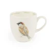 Tasse Haussperling